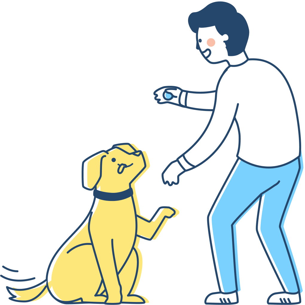 pet-trainer-illustration-04@2x
