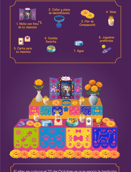 Día de Muertos para Mascotas: ¿Cuándo Colocar la Ofrenda y Qué Incluir en el Altar?